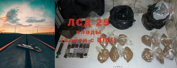 apvp Пересвет