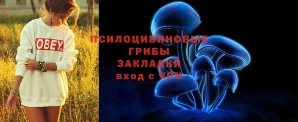 метамфетамин Покачи