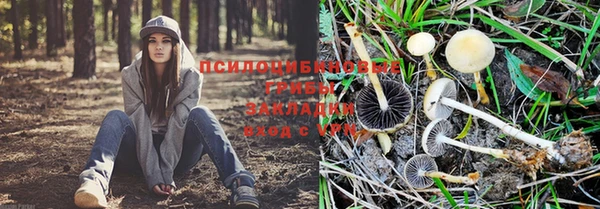 бошки Покров